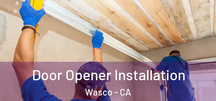 Door Opener Installation Wasco - CA
