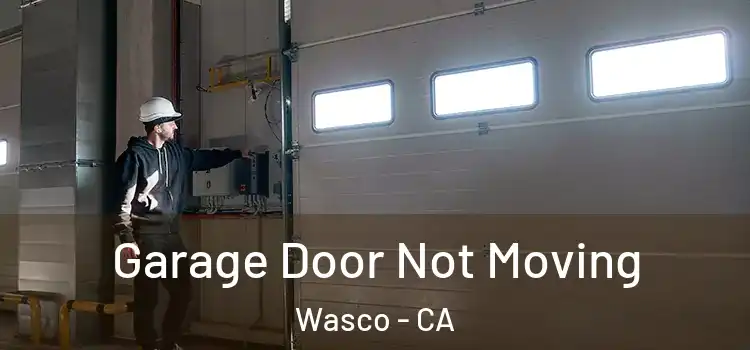 Garage Door Not Moving Wasco - CA