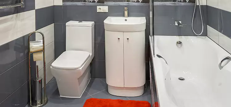 Hansgrohe Shaving Mirror Wasco