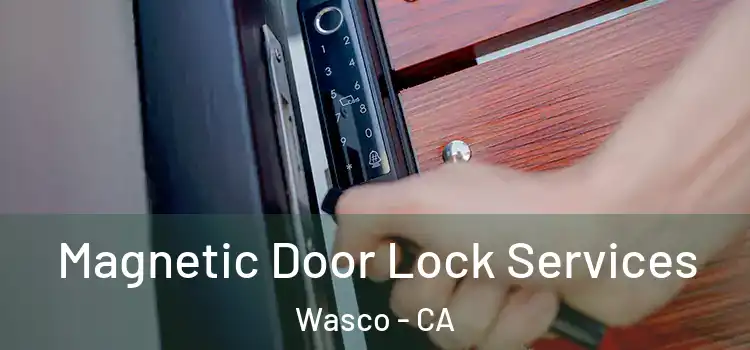 Magnetic Door Lock Services Wasco - CA
